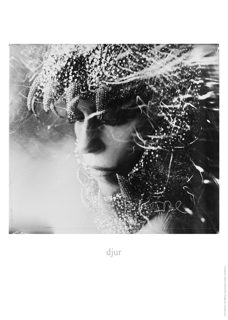 Petra Marklund - Djur